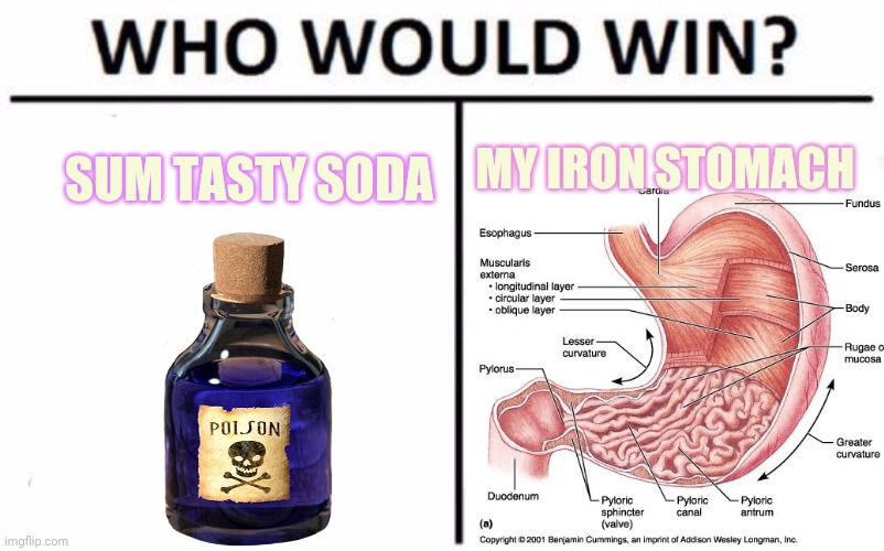 I found a bottle! | MY IRON STOMACH; SUM TASTY SODA | image tagged in memes,who would win,stomach,poison,soda | made w/ Imgflip meme maker
