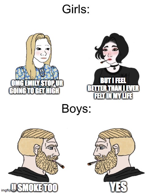 Boys vs girls | BUT I FEEL BETTER THAN I EVER FELT IN MY LIFE; OMG EMILY STOP UR GOING TO GET HIGH; U SMOKE TOO; YES | image tagged in boys vs girls | made w/ Imgflip meme maker