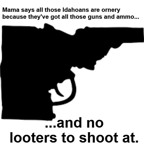Mama says all those Idahoans are ornery | Mama says all those Idahoans are ornery because they've got all those guns and ammo... ...and no looters to shoot at. | image tagged in idaho,the gun state,no looters,looters,redneck neighborhood watch,wrong neighborhood | made w/ Imgflip meme maker