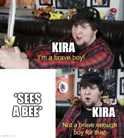 Fun fact: Kira is afraid of bees and most insects, but she doesn't know that butterfly's are insects and she likes them so ye | KIRA; *SEES A BEE*; KIRA | image tagged in jontron | made w/ Imgflip meme maker