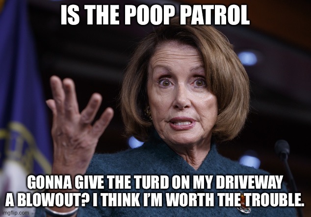 Crazy Nancy is a troublesome and worthless POS. | IS THE POOP PATROL; GONNA GIVE THE TURD ON MY DRIVEWAY A BLOWOUT? I THINK I’M WORTH THE TROUBLE. | image tagged in good old nancy pelosi,memes,poop,toilet humor,crazy,hair | made w/ Imgflip meme maker