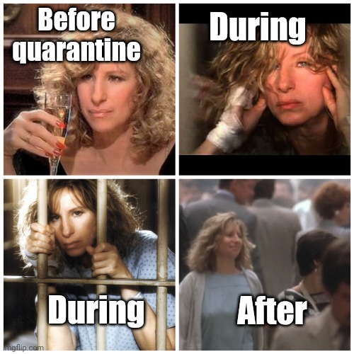 Barbra Nuts Quarantine | Before quarantine; During; After; During | image tagged in memes | made w/ Imgflip meme maker