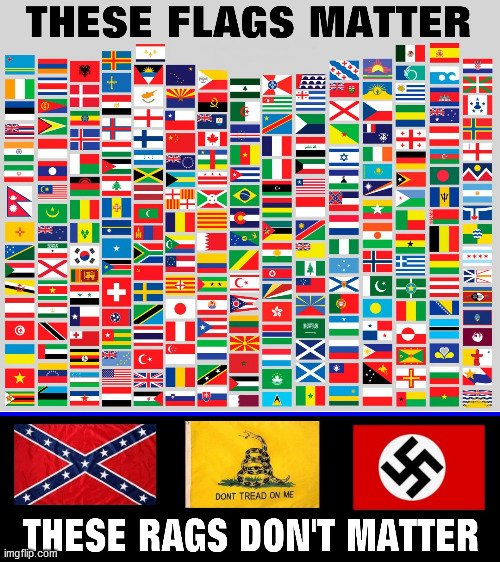 image tagged in flags,nazis,racists,confederate flag,black lives matter,bigots | made w/ Imgflip meme maker