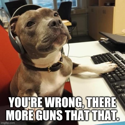 Call Center Pitty | YOU'RE WRONG, THERE MORE GUNS THAT THAT. | image tagged in call center pitty | made w/ Imgflip meme maker