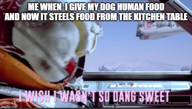 I wish I wasn't so dang sweet | ME WHEN  I GIVE MY DOG HUMAN FOOD AND NOW IT STEELS FOOD FROM THE KITCHEN TABLE | image tagged in i wish i wasn't so dang sweet | made w/ Imgflip meme maker