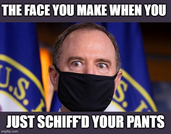 Did I just shit my pants in front of congress again | THE FACE YOU MAKE WHEN YOU; JUST SCHIFF'D YOUR PANTS | image tagged in schiff head,honey get my whistle | made w/ Imgflip meme maker