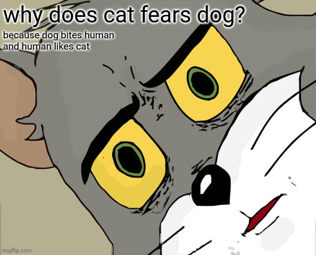 cats |  why does cat fears dog? because dog bites human
and human likes cat | image tagged in memes,unsettled tom | made w/ Imgflip meme maker