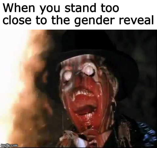 ark of the gender | When you stand too close to the gender reveal | image tagged in ark of the covenant face melt,gender reveal,memes | made w/ Imgflip meme maker