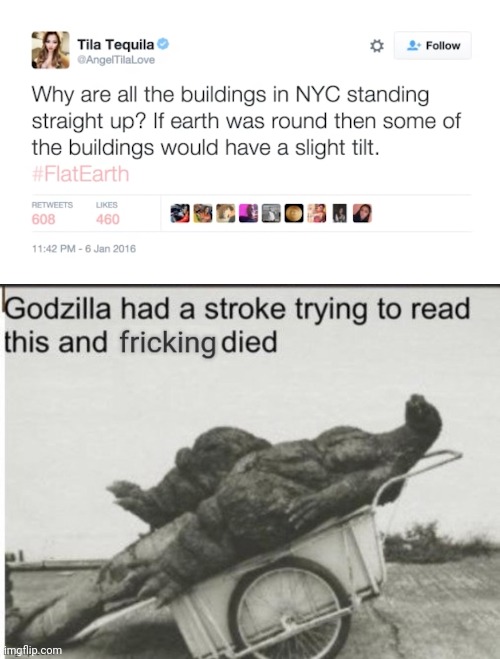 The earth isn't flat. Fight me. | image tagged in godzilla had a stroke trying to read this and fricking died | made w/ Imgflip meme maker