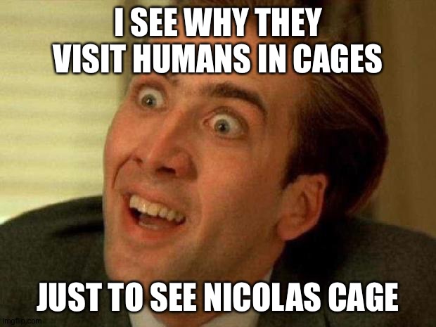 Nicolas cage | I SEE WHY THEY VISIT HUMANS IN CAGES JUST TO SEE NICOLAS CAGE | image tagged in nicolas cage | made w/ Imgflip meme maker