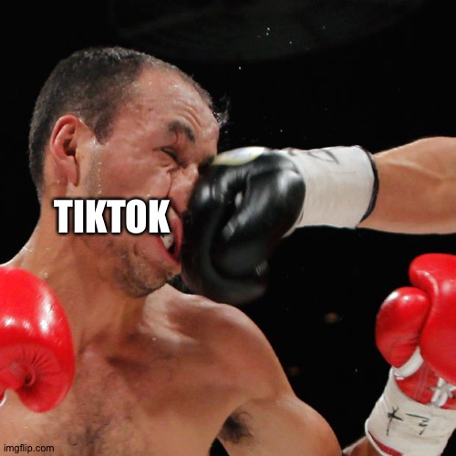 Boxer Getting Punched In The Face | TIKTOK | image tagged in boxer getting punched in the face | made w/ Imgflip meme maker