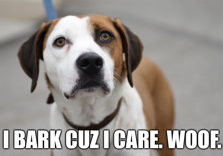 I BARK CUZ I CARE. WOOF. | made w/ Imgflip meme maker