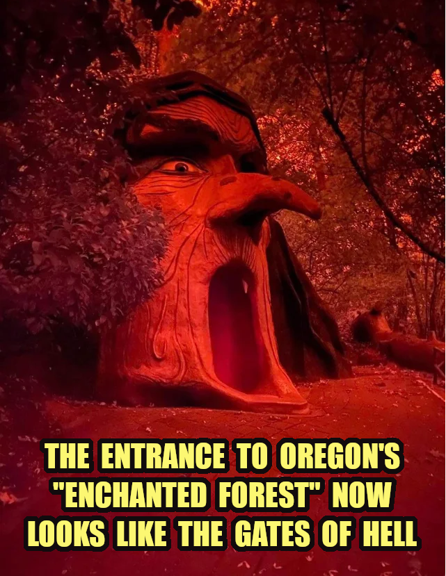 High Quality Oregon's Enchanted Forest with Wildfire-red skies Blank Meme Template