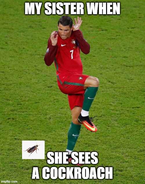 My sister when she sees a cockroach | MY SISTER WHEN; SHE SEES A COCKROACH | image tagged in cristiano ronaldo | made w/ Imgflip meme maker