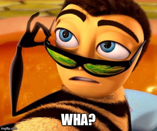Bee Movie | WHA? | image tagged in bee movie | made w/ Imgflip meme maker