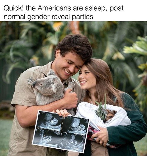 image tagged in bindi | made w/ Imgflip meme maker