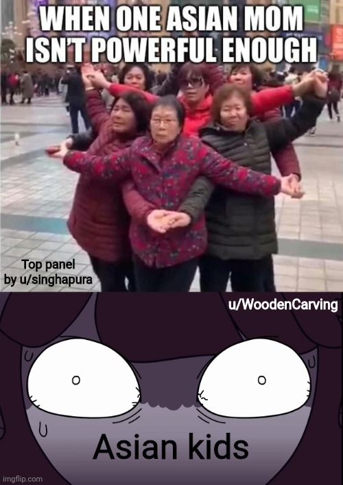 Sorry about all the text |  Top panel by u/singhapura; u/WoodenCarving; Asian kids | image tagged in asian,mom,jaiden animations | made w/ Imgflip meme maker