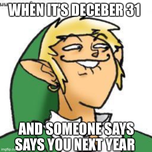 New Years by MemerGirl2020 | WHEN IT’S DECEBER 31; AND SOMEONE SAYS SAYS YOU NEXT YEAR | image tagged in lol of zelda,new years,zelda | made w/ Imgflip meme maker