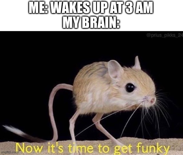 Now it’s time to get funky | ME: WAKES UP AT 3 AM
MY BRAIN: | image tagged in now it s time to get funky | made w/ Imgflip meme maker