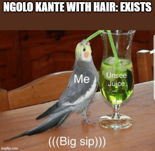 Unsee juice | NGOLO KANTE WITH HAIR: EXISTS | image tagged in unsee juice | made w/ Imgflip meme maker