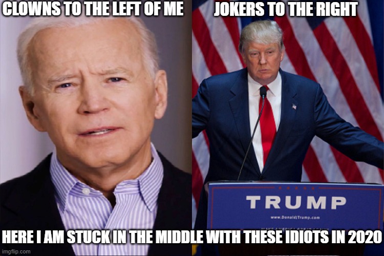 Stuck In The Middle with THESE IDIOTS in 2020 | CLOWNS TO THE LEFT OF ME; JOKERS TO THE RIGHT; HERE I AM STUCK IN THE MIDDLE WITH THESE IDIOTS IN 2020 | image tagged in stealer's wheel stuck in the middle 2020 | made w/ Imgflip meme maker