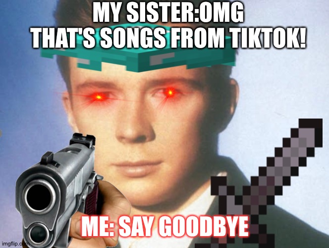 Omg that songs from tiktok | MY SISTER:OMG THAT'S SONGS FROM TIKTOK! ME: SAY GOODBYE | image tagged in you know the rules and so do i say goodbye | made w/ Imgflip meme maker