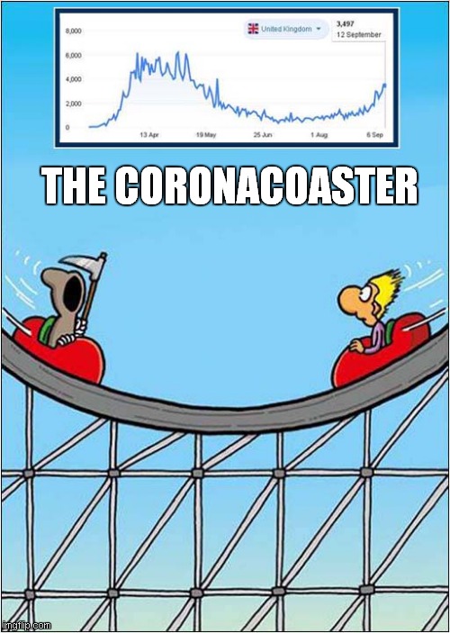 It's All Peaks And Troughs ! | THE CORONACOASTER | image tagged in fun,corona,covid,graphs | made w/ Imgflip meme maker