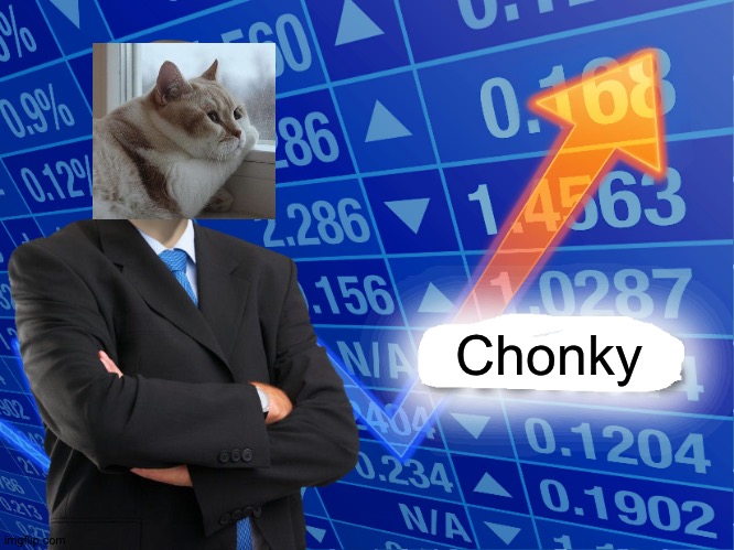 Empty Stonks | Chonky | image tagged in empty stonks | made w/ Imgflip meme maker