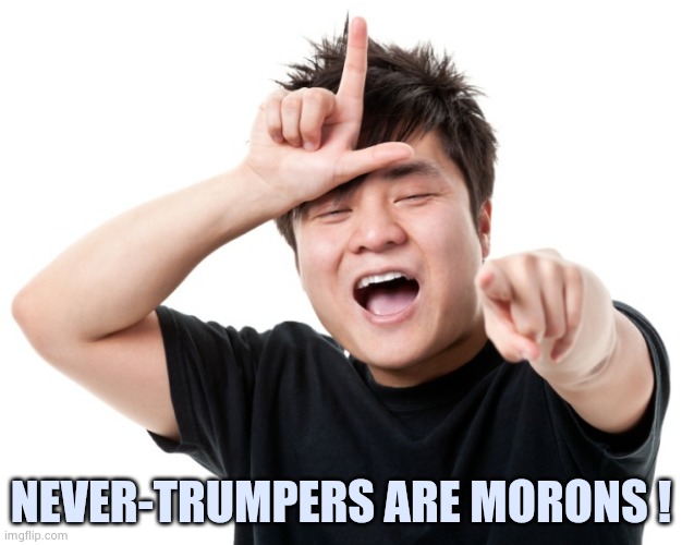 NEVER-TRUMPERS ARE MORONS ! | made w/ Imgflip meme maker