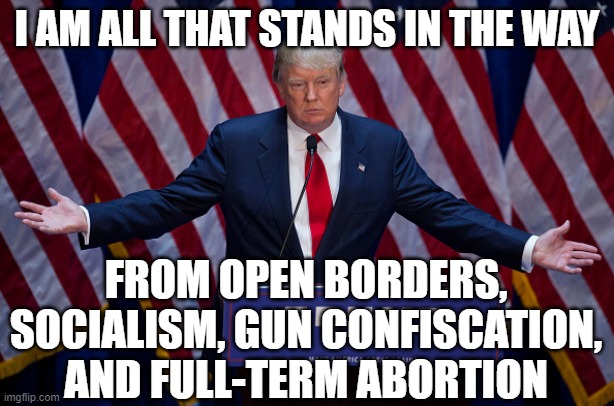 Donald Trump | I AM ALL THAT STANDS IN THE WAY; FROM OPEN BORDERS, SOCIALISM, GUN CONFISCATION, AND FULL-TERM ABORTION | image tagged in donald trump,trump 2020,election 2020,gun control,abortion,build the wall | made w/ Imgflip meme maker