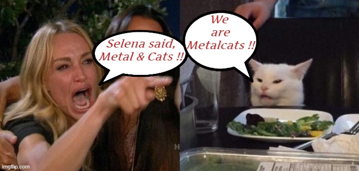 "Heavy Metal Fans for Heavy Metal Group's" on Fb. | We 
are
Metalcats !! Selena said,
Metal & Cats !! | image tagged in heavy metal,smudge,woman yelling at smudge the cat | made w/ Imgflip meme maker