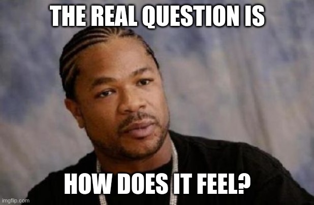 Serious Xzibit Meme | THE REAL QUESTION IS HOW DOES IT FEEL? | image tagged in memes,serious xzibit | made w/ Imgflip meme maker