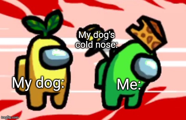 Bro, he sweet tho. | My dog's cold nose:; Me:; My dog: | image tagged in among us stab | made w/ Imgflip meme maker