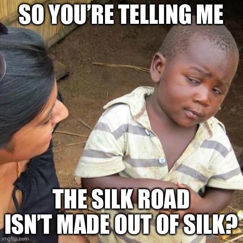 Silk Road Meme | SO YOU’RE TELLING ME; THE SILK ROAD ISN’T MADE OUT OF SILK? | image tagged in memes,third world skeptical kid | made w/ Imgflip meme maker
