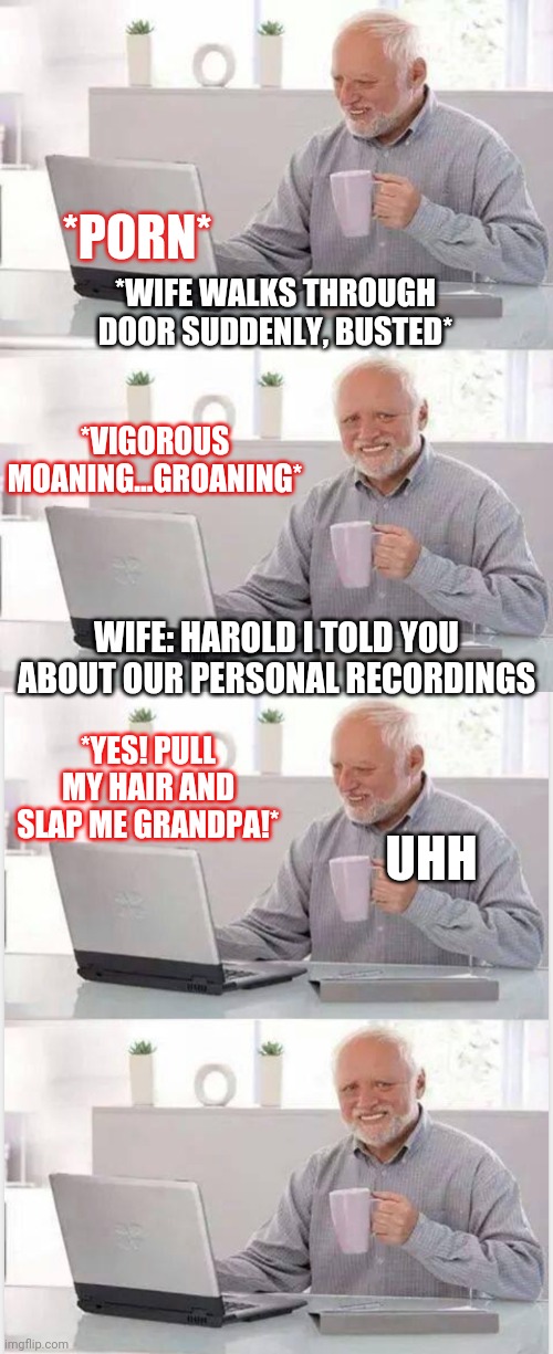 Hmm | *PORN*; *WIFE WALKS THROUGH DOOR SUDDENLY, BUSTED*; *VIGOROUS MOANING...GROANING*; WIFE: HAROLD I TOLD YOU ABOUT OUR PERSONAL RECORDINGS; *YES! PULL MY HAIR AND SLAP ME GRANDPA!*; UHH | image tagged in memes,hide the pain harold | made w/ Imgflip meme maker