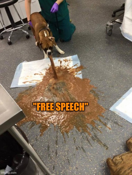 The politics "stream" | "FREE SPEECH" | image tagged in dog vomit | made w/ Imgflip meme maker