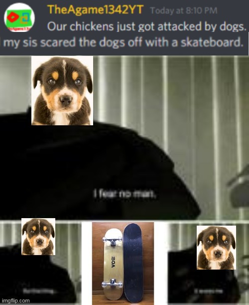 How to deal with dogs | image tagged in dogs,i fear no man,discord | made w/ Imgflip meme maker