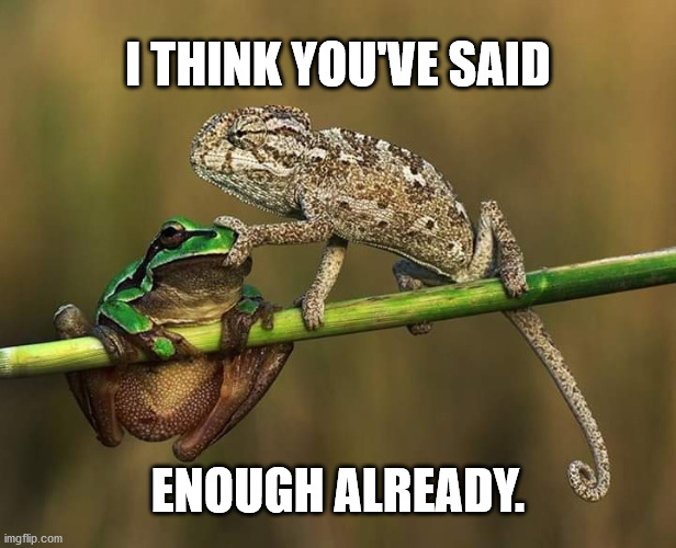 just shut up | I THINK YOU'VE SAID; ENOUGH ALREADY. | image tagged in frog,chameleon,talks too much | made w/ Imgflip meme maker
