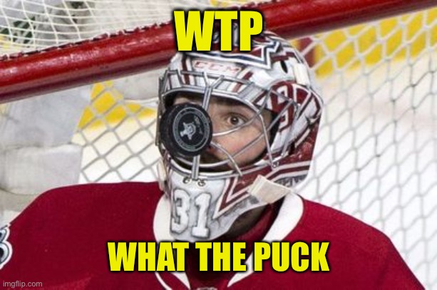 Slapshot | WTP; WHAT THE PUCK | image tagged in ice hockey,puck,goalie,wtp | made w/ Imgflip meme maker