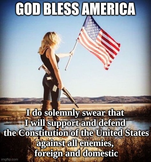 God Bless America and Constitution | GOD BLESS AMERICA; I do solemnly swear that 
I will support and defend 
the Constitution of the United States
against all enemies, 
foreign and domestic | image tagged in defense,constitution,republican,america,united states,guns | made w/ Imgflip meme maker