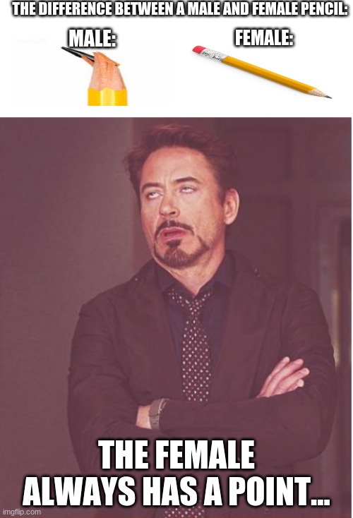 The difference between a male and female pencil | THE DIFFERENCE BETWEEN A MALE AND FEMALE PENCIL:; MALE:; FEMALE:; THE FEMALE ALWAYS HAS A POINT... | image tagged in memes,face you make robert downey jr,pencil,broken lead pencil,funny,the truth | made w/ Imgflip meme maker
