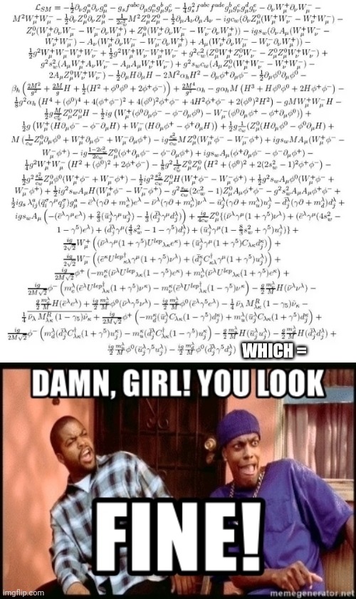 Damn Girl | WHICH = | image tagged in damn | made w/ Imgflip meme maker