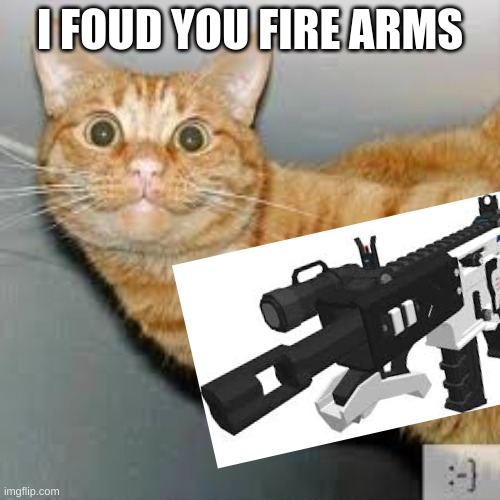I FOUD YOU FIRE ARMS | image tagged in cat | made w/ Imgflip meme maker