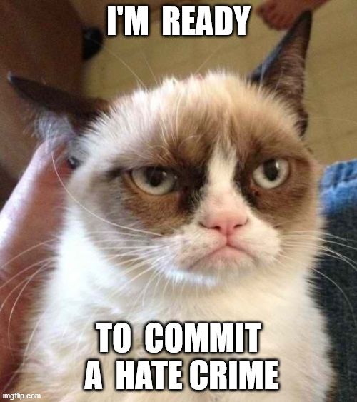 Grumpy Cat Reverse | I'M  READY; TO  COMMIT  A  HATE CRIME | image tagged in memes,grumpy cat reverse,grumpy cat | made w/ Imgflip meme maker