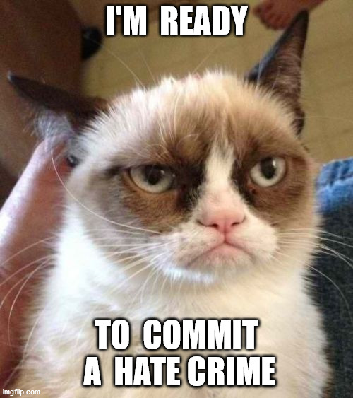 Grumpy Cat Reverse Meme | I'M  READY; TO  COMMIT  A  HATE CRIME | image tagged in memes,grumpy cat reverse,grumpy cat | made w/ Imgflip meme maker