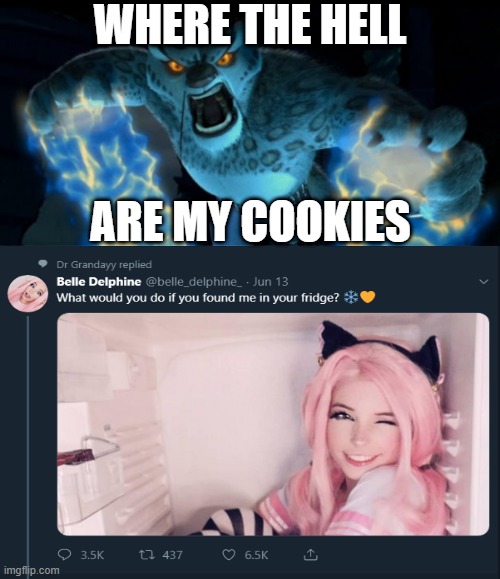 I Don't care about you I care about my cookies | WHERE THE HELL; ARE MY COOKIES | image tagged in memes | made w/ Imgflip meme maker