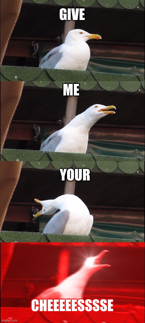 Inhaling Seagull Meme | GIVE; ME; YOUR; CHEEEEESSSSE | image tagged in memes,inhaling seagull | made w/ Imgflip meme maker