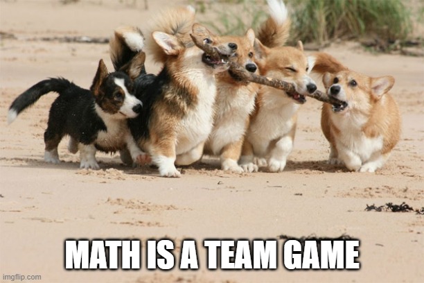 Dogs tugging on stick | MATH IS A TEAM GAME | image tagged in team effort | made w/ Imgflip meme maker