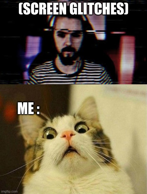 (SCREEN GLITCHES); ME : | image tagged in memes,scared cat | made w/ Imgflip meme maker