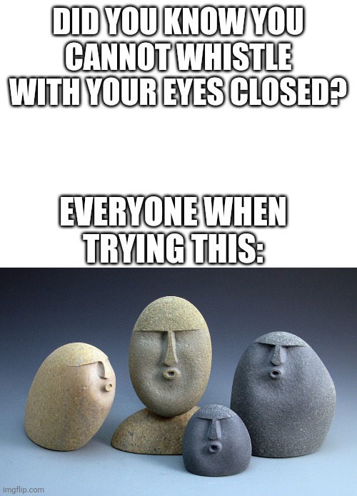 DID YOU KNOW YOU CANNOT WHISTLE WITH YOUR EYES CLOSED? EVERYONE WHEN TRYING THIS: | image tagged in blank white template,oof stones,memes,gifs | made w/ Imgflip meme maker